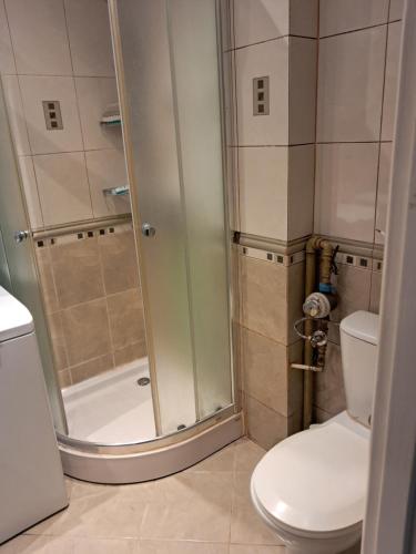 a bathroom with a shower and a toilet at Noclegi Mieszkanie Kuchnia Żywiec in Żywiec