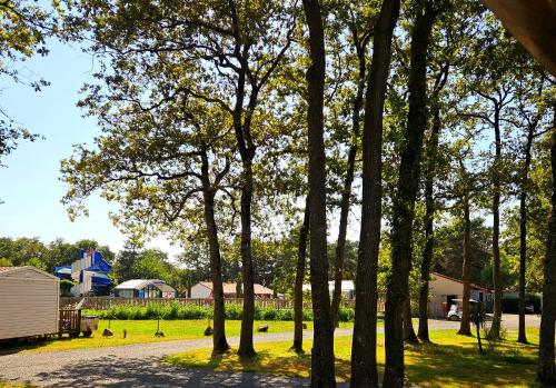 Bungalow Cosy équipéにある庭