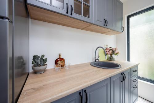 a kitchen with a sink and a refrigerator at Lake House Buric in Vranjina