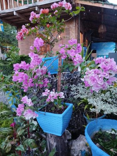 a bunch of pink flowers in a garden at Unlock the Perfect Space for You in Pooc