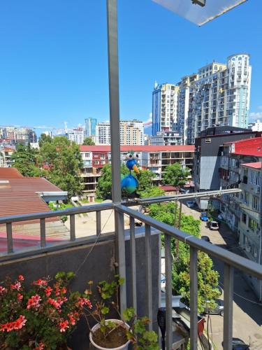 Rõdu või terrass majutusasutuses Chase Dream Hostel追梦空间