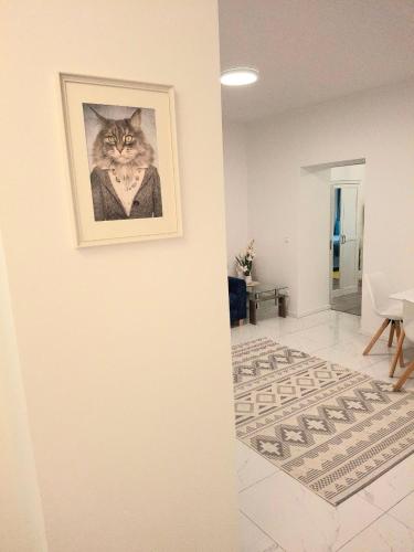 a picture of a cat hanging on a wall at Family Design Apartments Neunkirchen - 2 rooms Apartment 5 in Neunkirchen