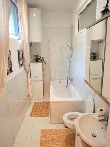 a bathroom with a toilet and a shower and a sink at Family Design Apartments Neunkirchen - 2 rooms Apartment 5 in Neunkirchen