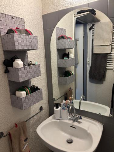 une salle de bain avec un lavabo et un miroir dans l'établissement Studio cabine au pied des pistes, à Modane