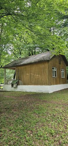 Φωτογραφία από το άλμπουμ του Cool Forest Gabala σε Gabala
