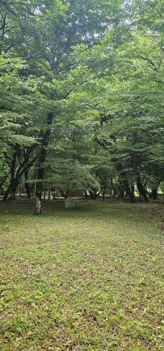 Φωτογραφία από το άλμπουμ του Cool Forest Gabala σε Gabala