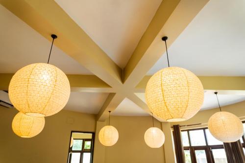 a group of lights hanging from a ceiling at Krazy Gecko Resort in Pokhara