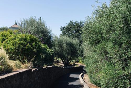 a stone bridge over a road with trees at Le Petit Pali St Helena in St. Helena