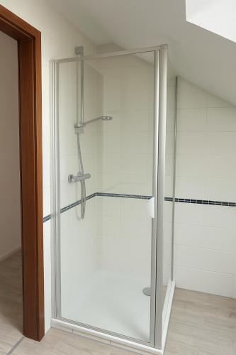 a shower with a glass door in a bathroom at Monteur- und Ferienwohnung Rheinhausen - Lönsweg in Oberhausen-Rheinhausen