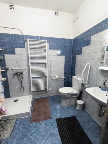 a bathroom with a toilet and a shower and a sink at Vár-Liget Vendégház in Kisnána