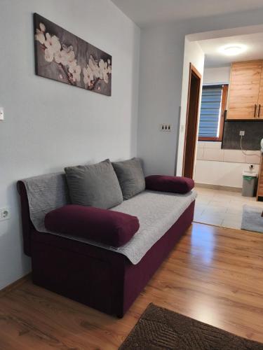 a couch in a living room with a kitchen at Apartments & Rooms Ramljak in Korenica