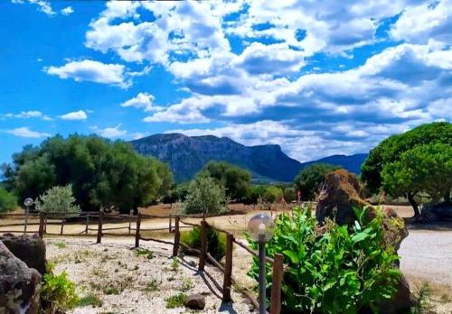 a field with a fence and mountains in the background at Vistamare in Orosei