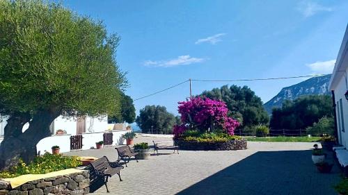 a patio with benches and a tree and mountains at Vistamare in Orosei