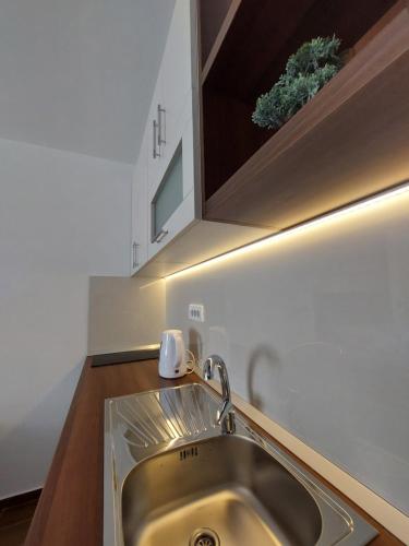 a kitchen with a sink and a plant above it at Enigma Bajina Bašta in Bajina Bašta