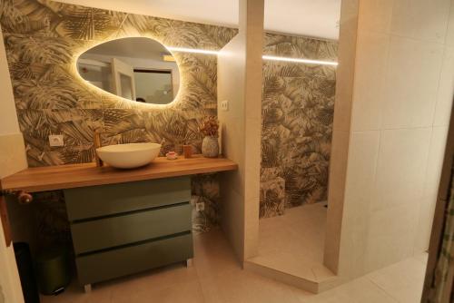 ein Badezimmer mit Waschbecken und Spiegel in der Unterkunft Maison 2 ch en campagne 5 mn du centre en voiture avec possibilité piscine familiale in Salon-de-Provence