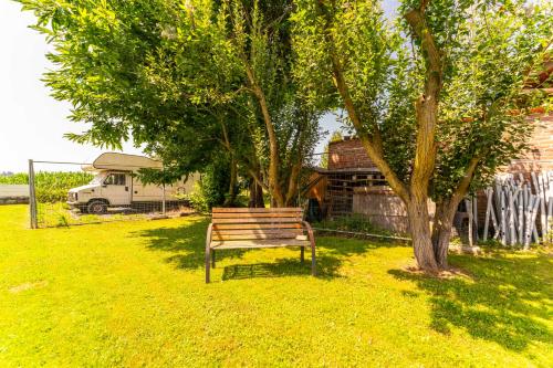 a park bench sitting under a tree in a yard at Spighe Paglia e Girasole in Candia Canavese