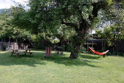 a hammock and a table and a tree in a yard at New Residence Schnatzhof Schlanders in Silandro