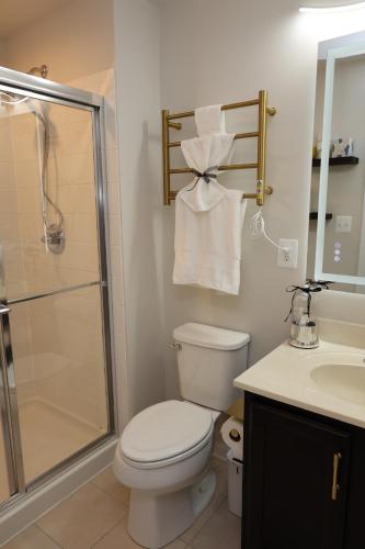 a bathroom with a shower and a toilet and a sink at Ultra Luxe 2B Basement Apartment in Lanham