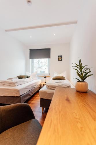a room with three beds and a potted plant at moderne, geräumige Wohnung neco appartments in Behrenhoff