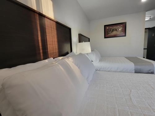 two beds in a hotel room with white sheets at The Suite Inn Minot in Minot