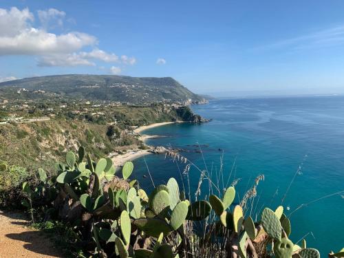 a view of the ocean from a hill with a cactus at La casa dei tre platani in Case Torre di Sacco