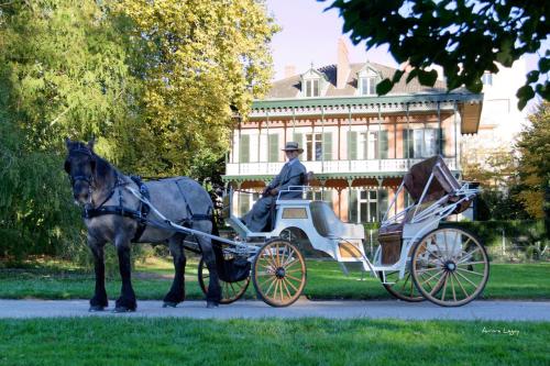 Imagen de la galería de Séjour thermal à Vichy Élégance et repos au rendez-vous, en Vichy