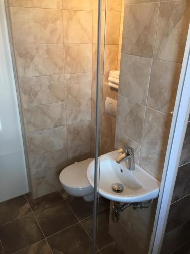 a bathroom with a shower with a toilet and a sink at Studio Ostrava - Masarykovo náměstí in Ostrava