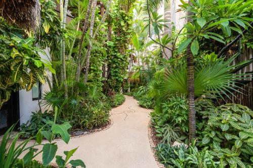 a walkway through a garden with palm trees and plants at Kinbe Hotel Boutique in Playa del Carmen