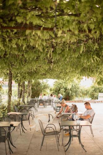 a group of people sitting at tables under a tree at Dimora Buglioni Wine Relais in San Pietro in Cariano