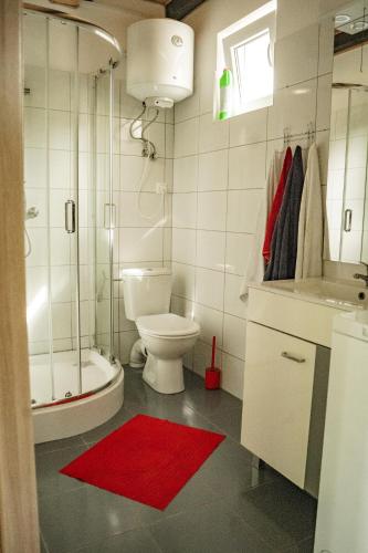 a bathroom with a toilet and a shower and a red rug at Domki Kapitańskie Lubiatowo z sauną i balią z jacuzzi in Lubiatowo