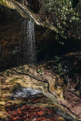 a waterfall on the side of a rock in a forest at The Goldfinch's Nest - Glamping Tent with AC in Rogers