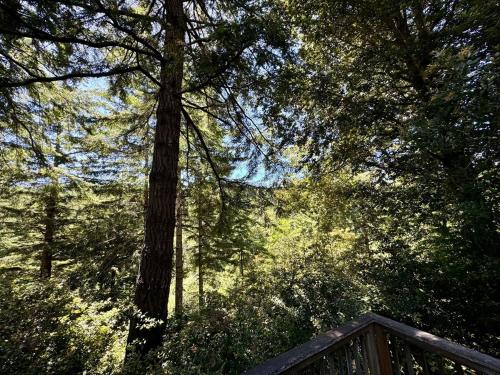 ゴールドビーチにあるCedar Valley Lodgeのギャラリーの写真
