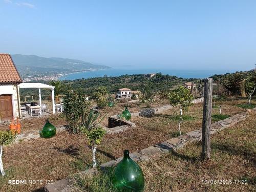 a group of green glass bottles sitting on top of a hill at La Dimora di Nonna Anna in Casal Velino
