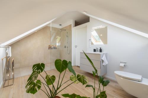 a bathroom with a shower and a toilet and a plant at Apartamenty Dolina Jawornika in Wisła