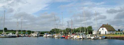 a group of boats docked in a harbor at Apartment Neuendorf - Hiddensee 2 in Neuendorf