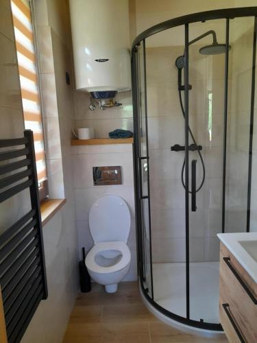 a small bathroom with a toilet and a shower at Przystanek Bereżnica in Bereżnica Wyżna
