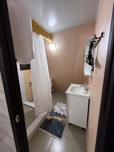 a small bathroom with a sink and a shower at Miman house Kolsay in Kurmenty
