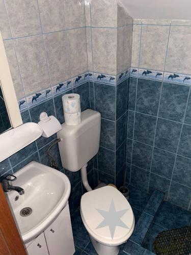 a bathroom with a toilet and a sink at Pensiunea Bibi in Crisan