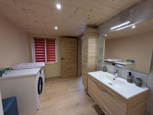 une salle de bain avec un lavabo et une machine à laver dans l'établissement Gîte La vie clerc, à Les Combes