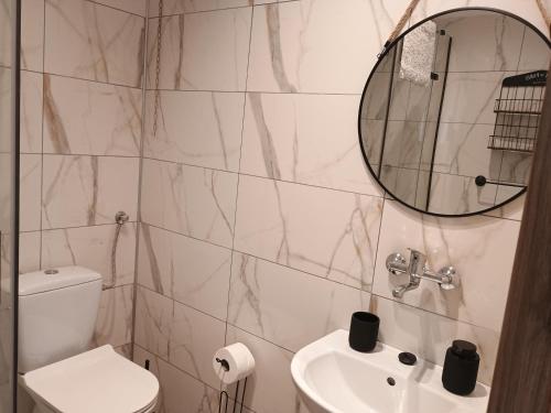 a bathroom with a toilet and a sink and a mirror at Chata Pod Różą in Lędzin
