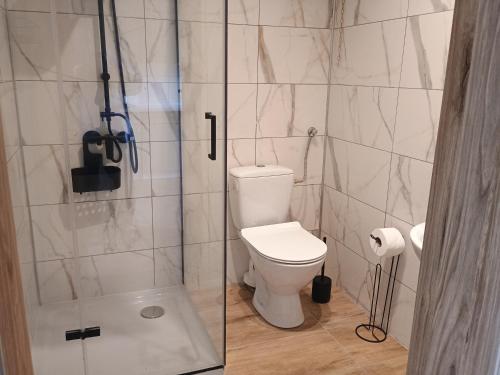 a bathroom with a toilet and a glass shower at Chata Pod Różą in Lędzin