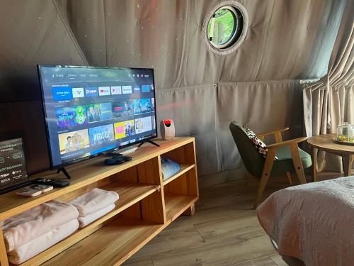 Televisyen dan/atau pusat hiburan di Na Skraju Lasu Domek na Drzewie & Glamping