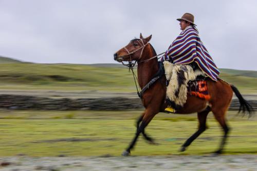 een man op een paard met een Amerikaanse vlag op zijn rug bij Chilcabamba Lodge in Machachi