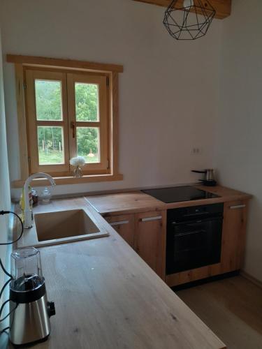 a kitchen with a sink and a stove at Wild peace Vladimir in Foča
