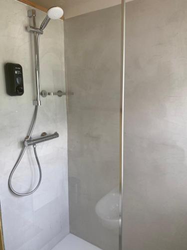 a shower with a glass door in a bathroom at B&B Cà Selvetta in Forcola