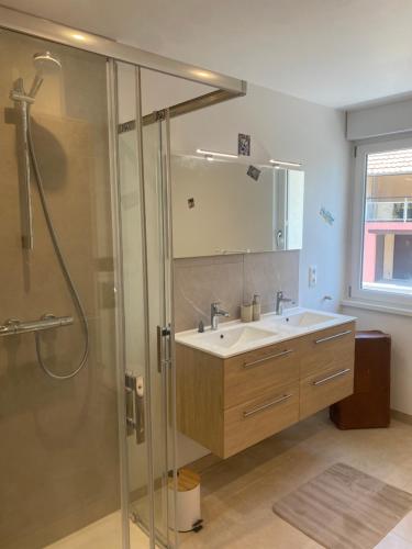 a bathroom with a sink and a shower at Le RiedExpress in Schwobsheim