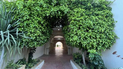 an entrance to a building with a tunnel of plants at Residence Golden Beach in Bin Rhilouf
