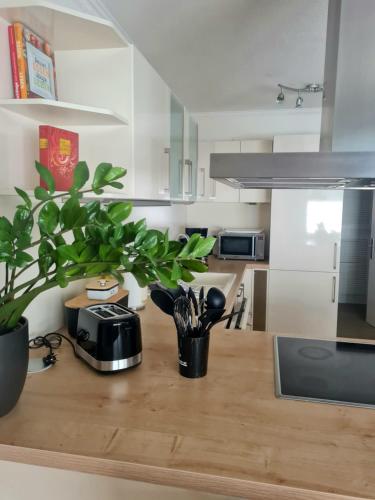 a kitchen with a wooden counter top with a plant on it at DAS kleine Haus in Wandlitz