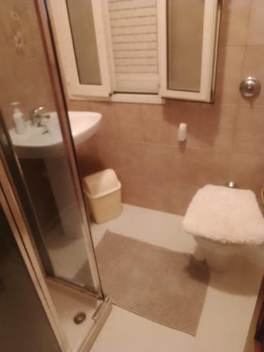 a bathroom with a shower and a toilet and a sink at Casa di lella in Olbia