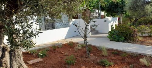 Κήπος έξω από το Casa di Laino
